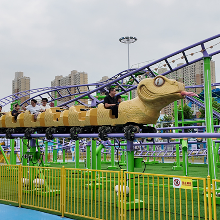 家庭過(guò)山車(chē)D